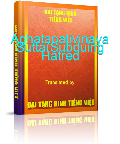 Đại Tạng Kinh Việt Nam